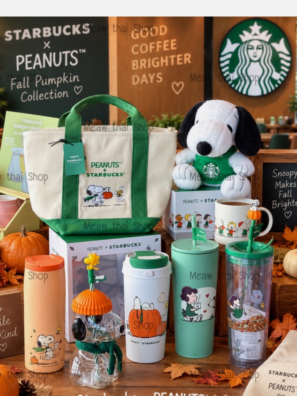 Set of all 10 Starbucks Peanuts Fall Pumpkin Collection with BONUS Snoopy merch!